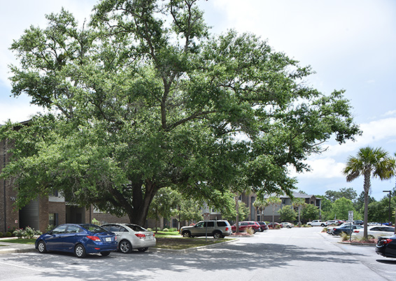 Arbours at Shoemaker Place